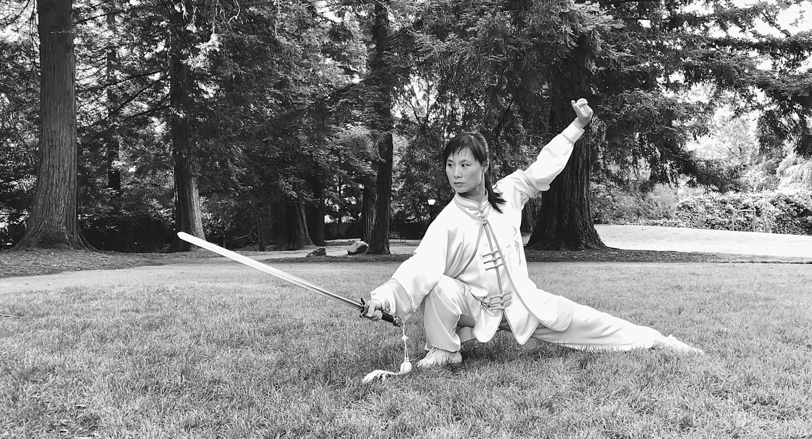 Tai Chi partner training